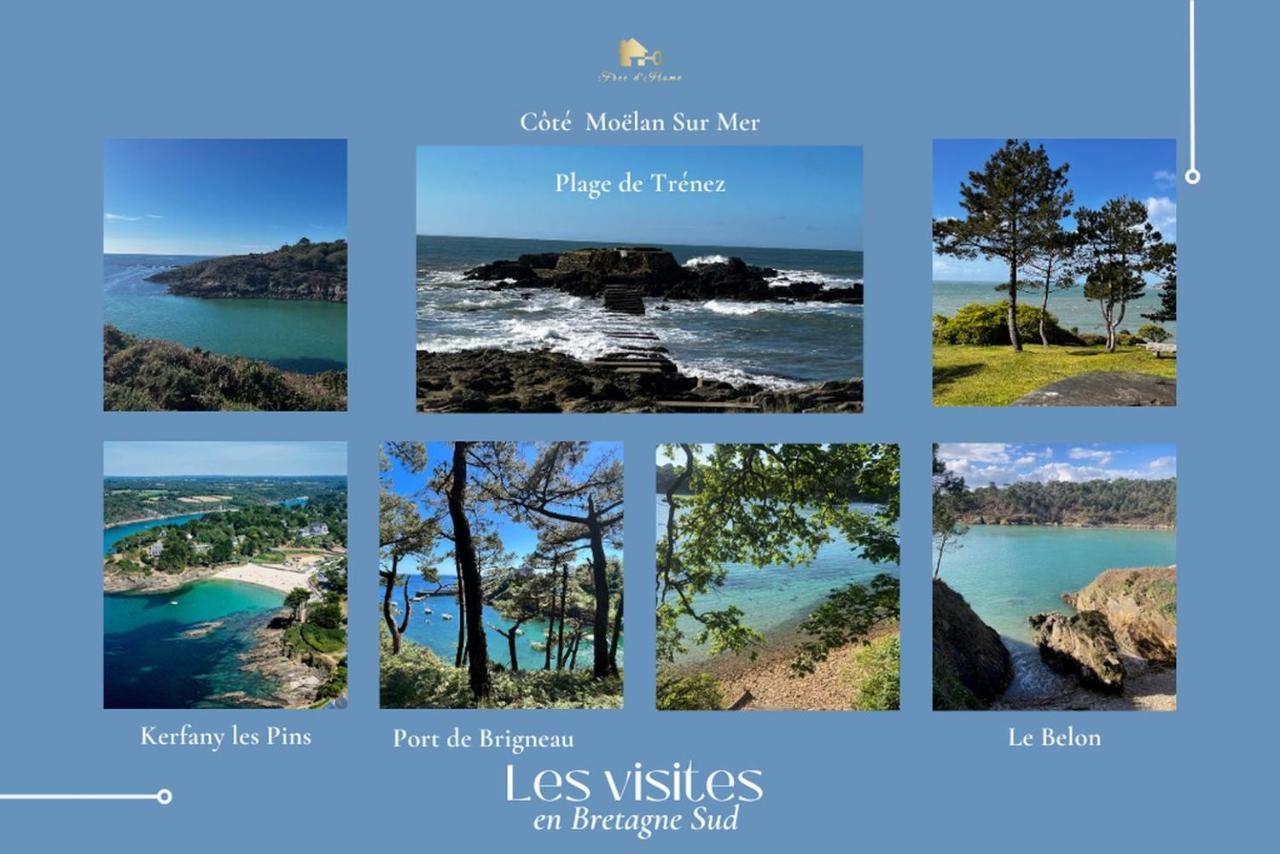 Le Tiguidou, Cosy, Lumineux, 2-6 Pers, Plage 300M Moëlan-sur-Mer Exterior foto